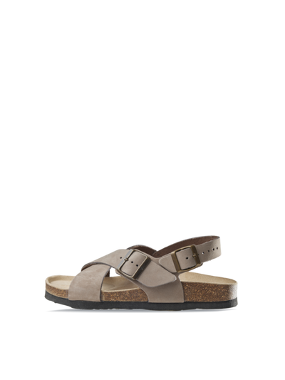 Cross Taupe
